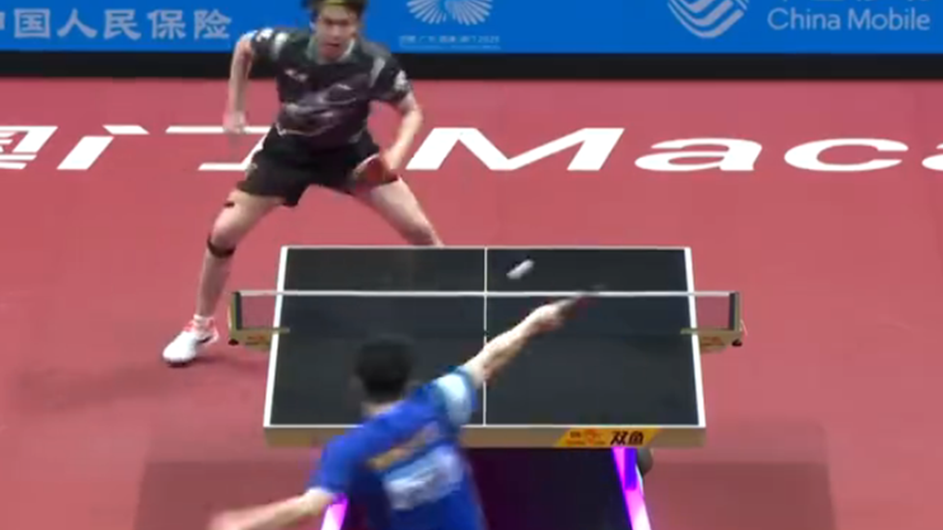 日本队鏖战波兰队，樊振东刷新纪录