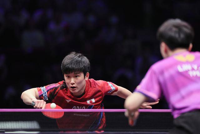 韩国队险胜英格兰队，张本智和高光表现