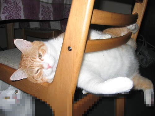 爱游戏官方-冰与火之歌，逆转之夜与统治之力