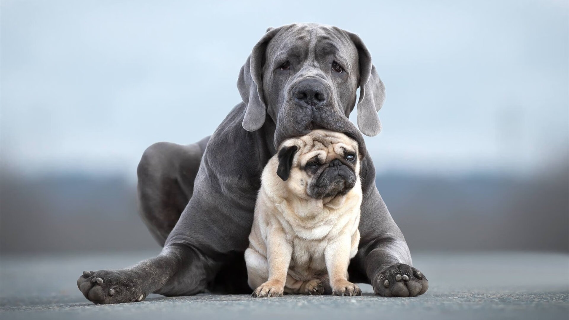 王朝序章,皮亚斯特里雨中摩纳哥鏖战法拉利,一场胜利与一个时代的预言