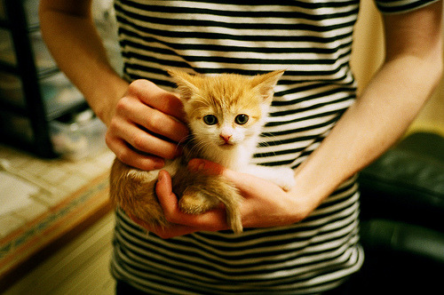 恩佐一锤定音，土耳其对阵莱比锡红牛早早失去悬念