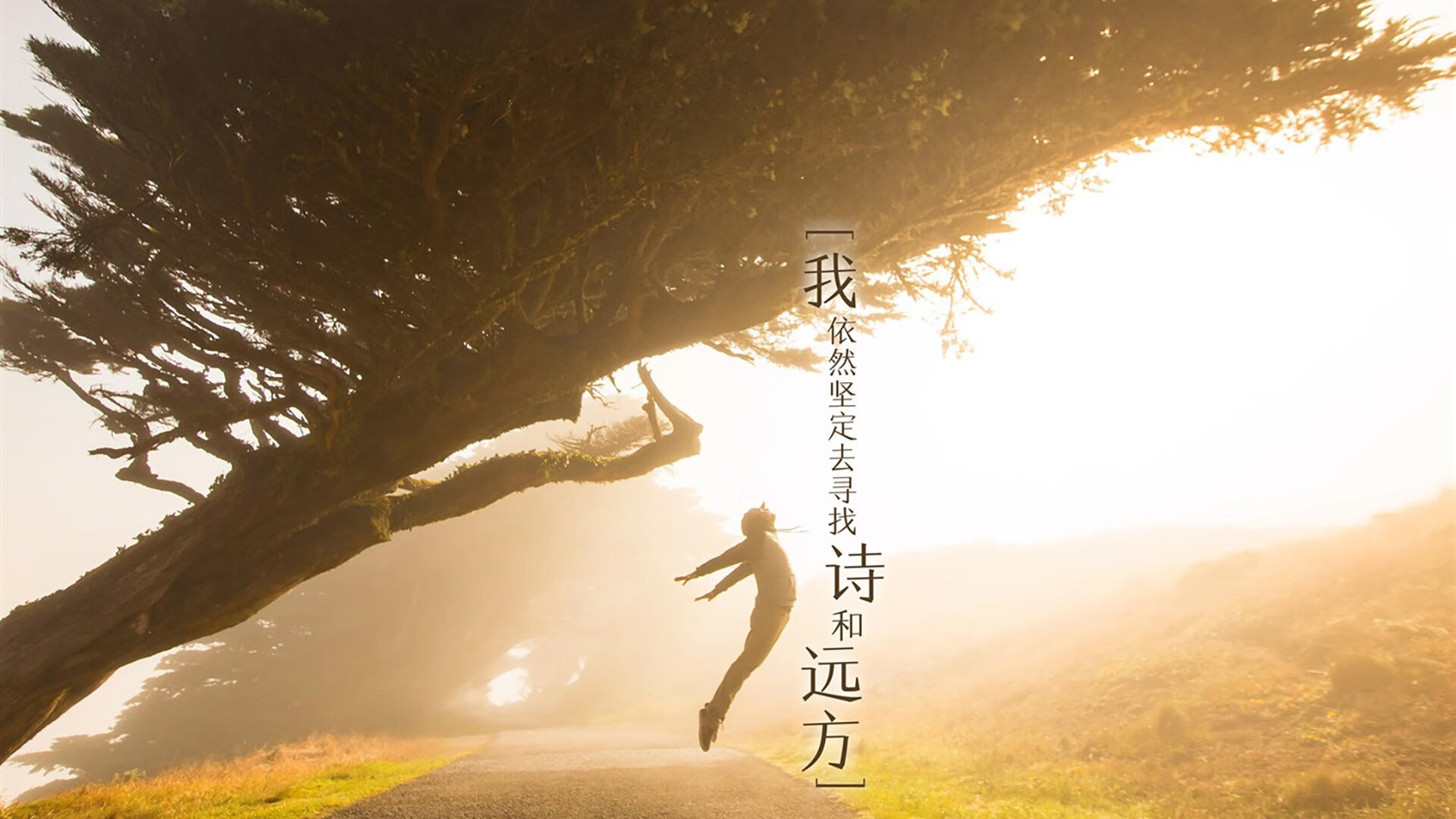 铁锁马赛vs手术刀加维，一场颠覆世界排名的攻防启示录