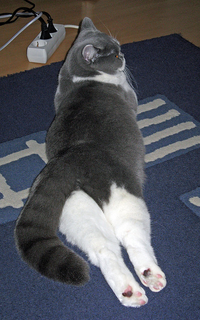 爱游戏体育-魔术师之咒，乔治率队起舞，奥兰多铁壁封杀洛城星光