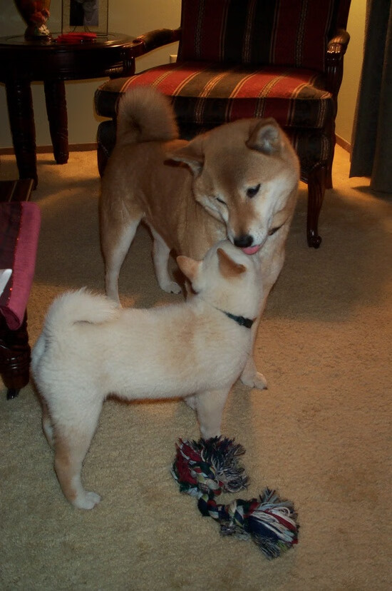 黄色潜水艇的北非航迹，蒂亚戈爆发引领比利亚雷亚尔争冠战逆袭摩洛哥劲旅