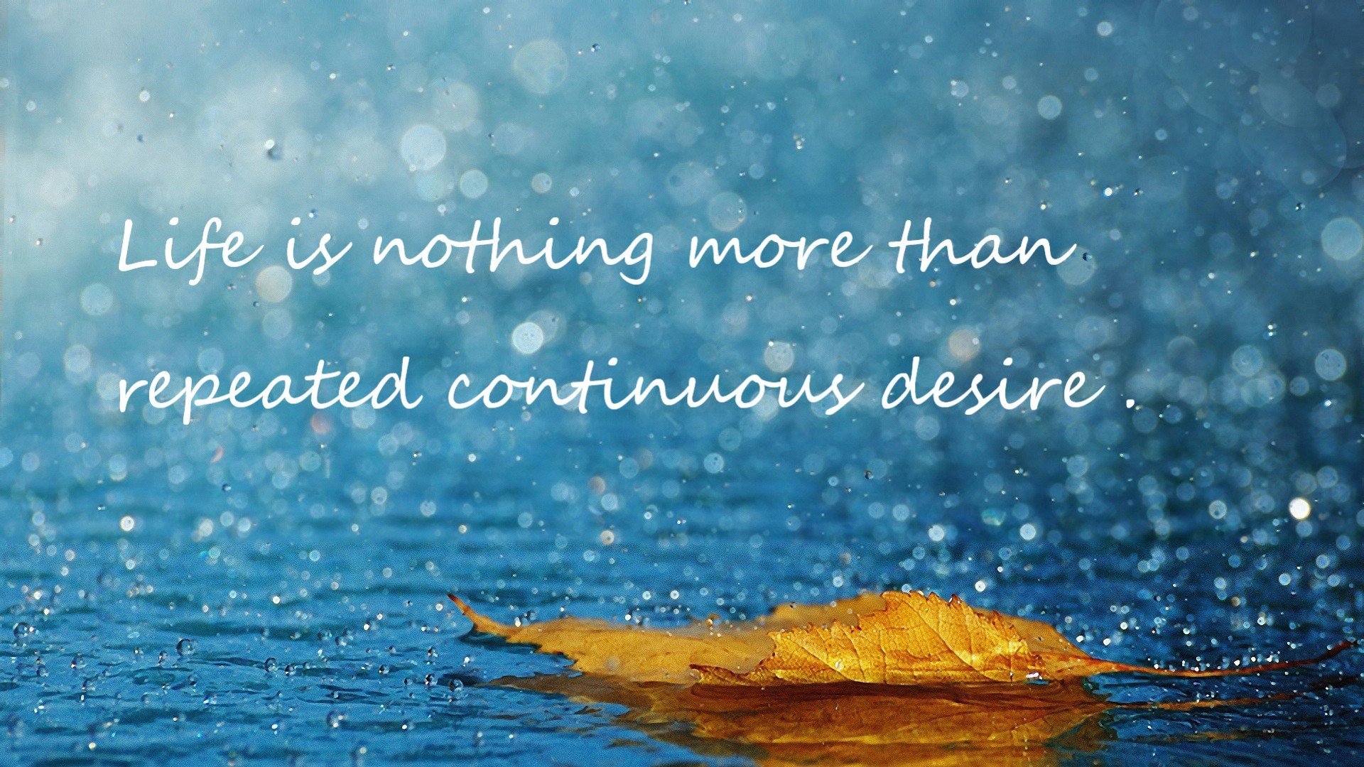 神秘37号降临五棵松，塔图姆身披北京战袍对阵篮网队