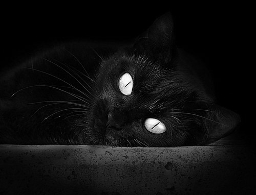 航天城奇袭加拿大航线，文班亚马用太空长臂接管苍穹之战