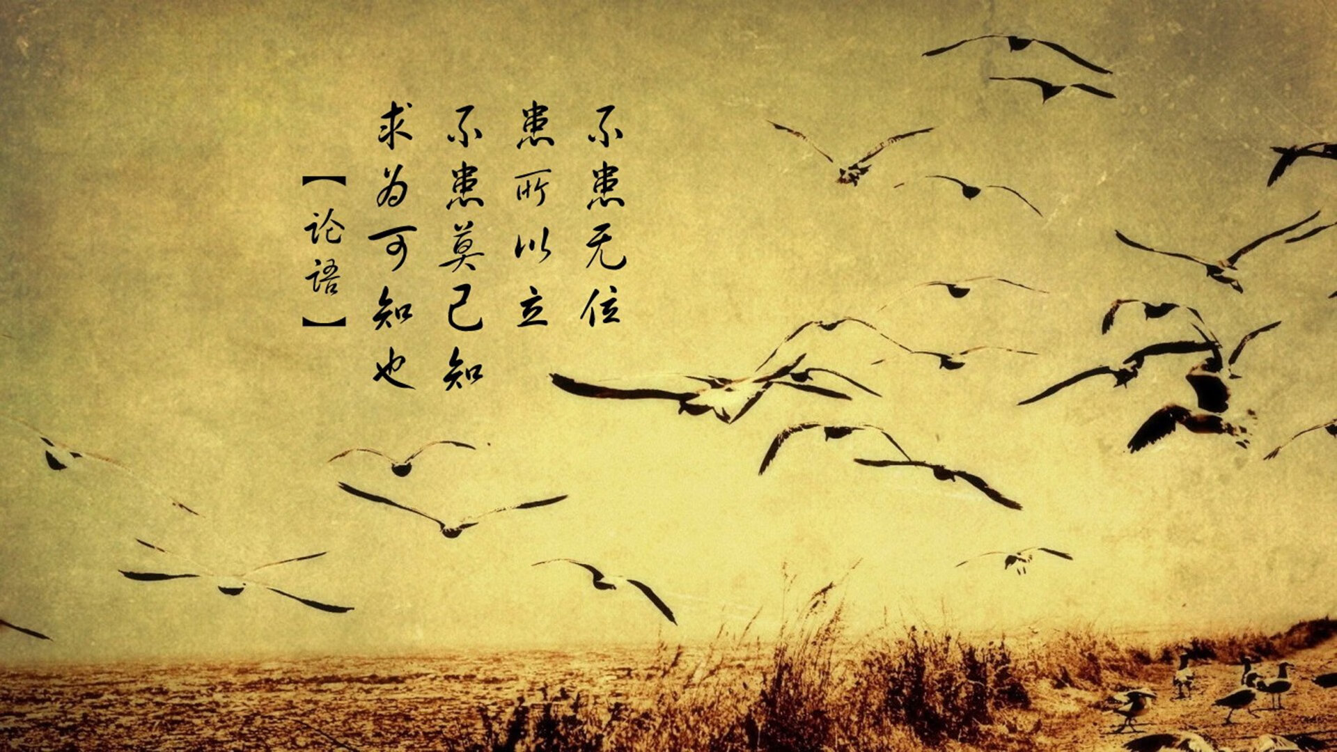 沉船记，当克莱的三分雨让独行侠的航程提前终结