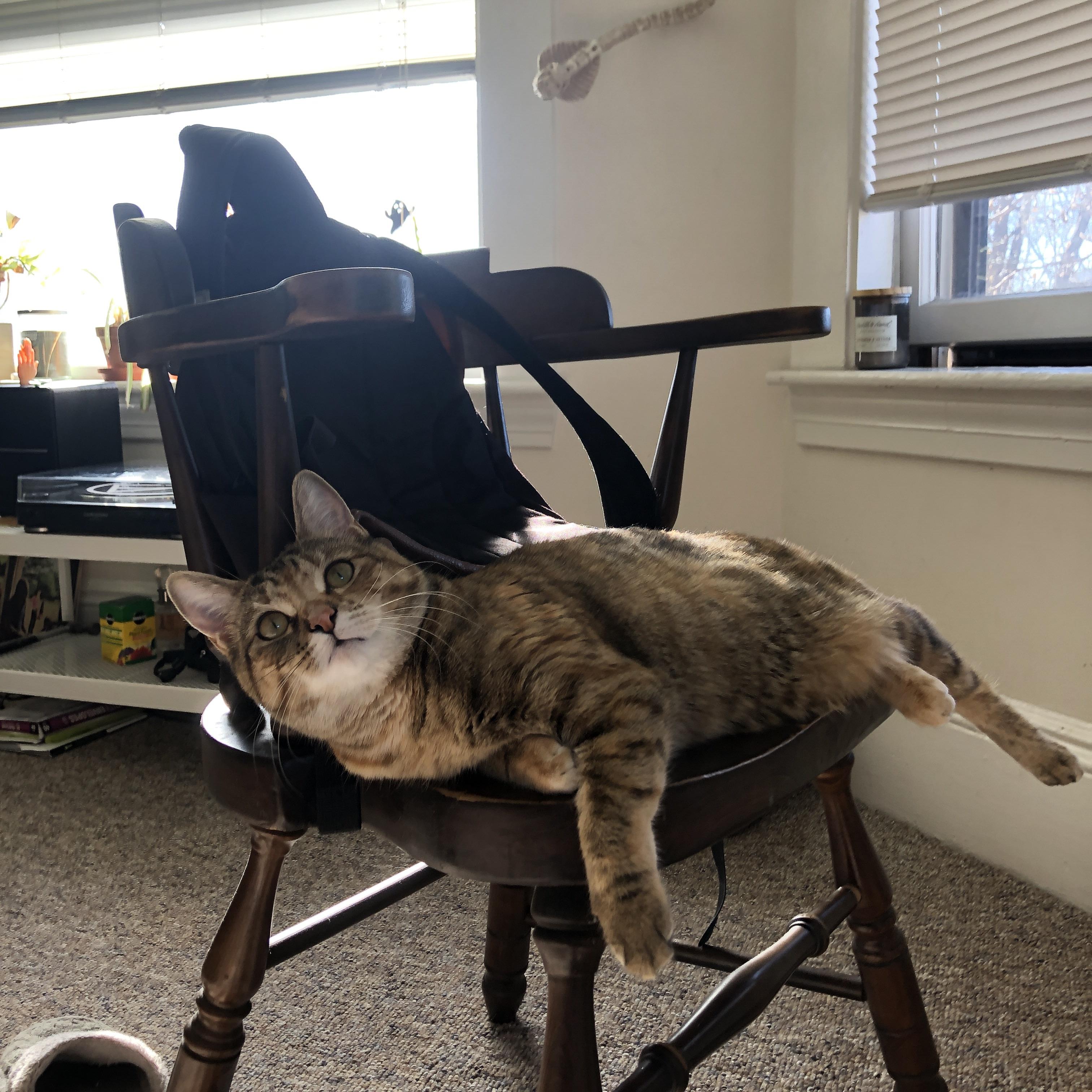 归化之夜,从慕尼黑到伊斯坦布尔,格纳布里在土耳其红月的生涯华章