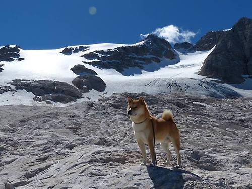 勒布朗时刻，36岁传奇用一记追身钉板大帽导演20分逆转