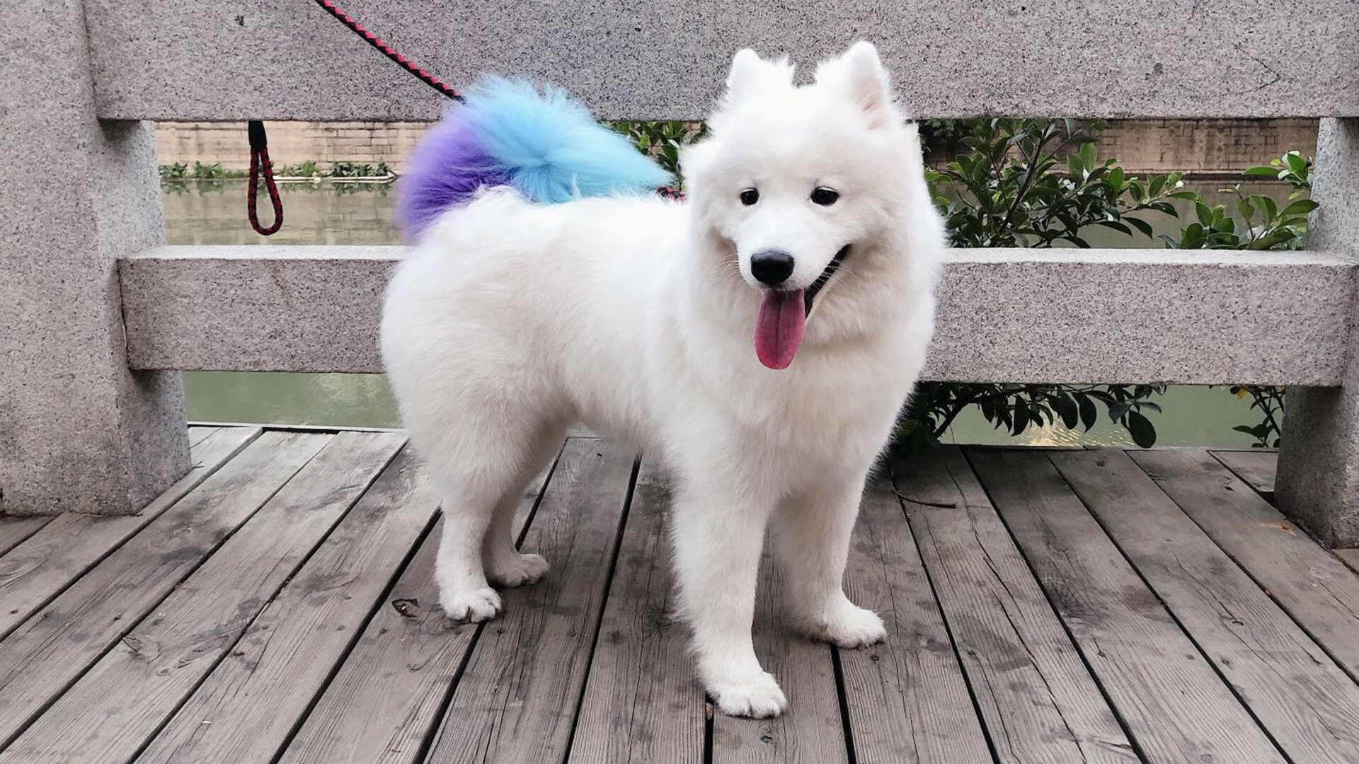 唯一之战,北京队决胜局力克魔术,伦纳德化身关键先生