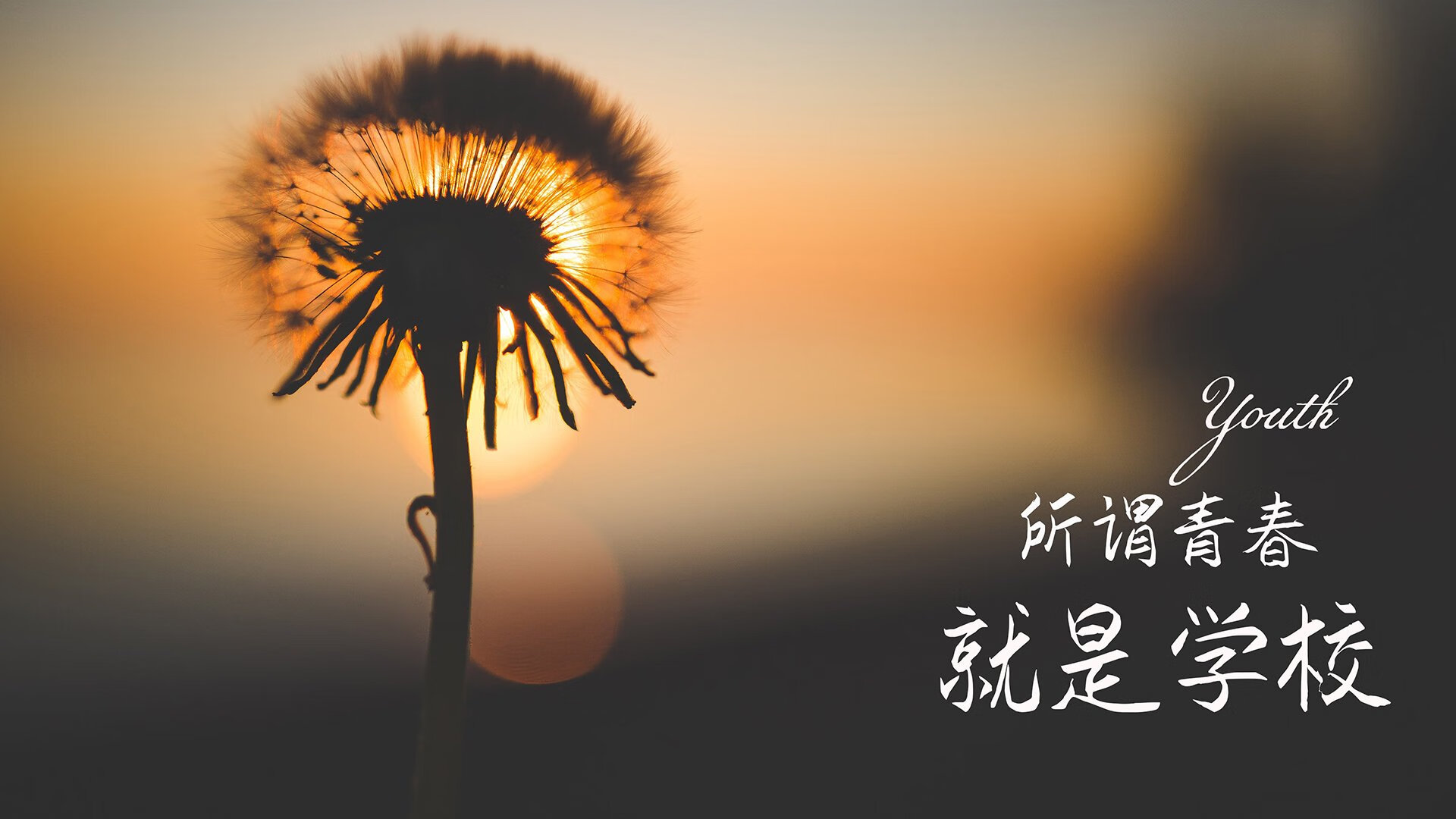 2026世界杯E组关键战,加纳横扫泰国,努涅斯带队取胜,全场压制书写唯一剧本