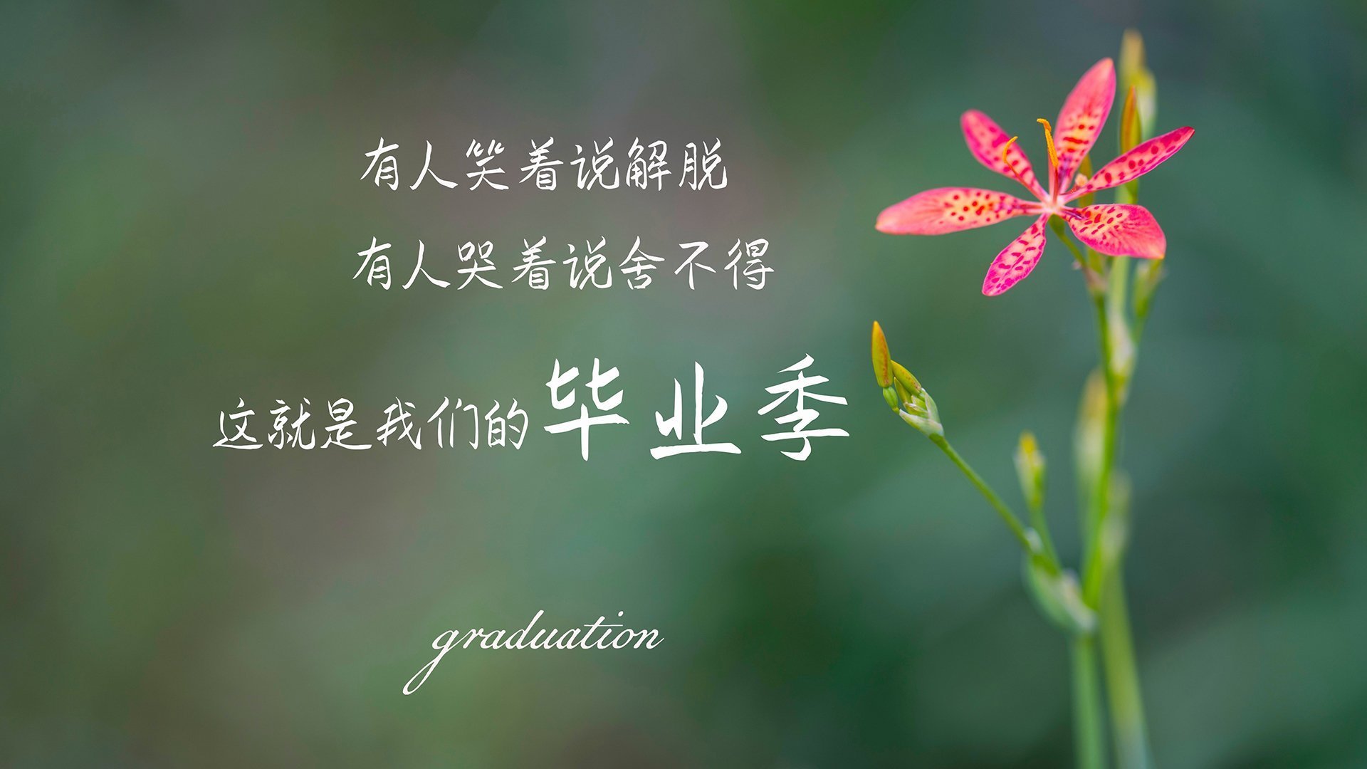 致命桑巴,撕裂樱花,内马尔的天外飞仙,将2026世界杯C组钉在历史的唯一性上