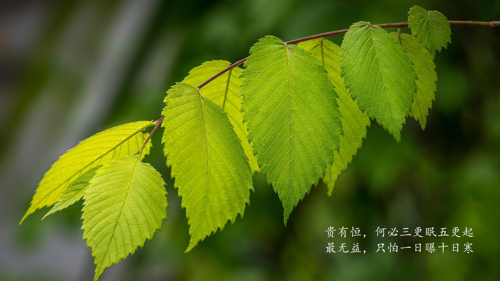 爱游戏大厅-雷克雅未克的冰与火，2026世界杯F组冰岛绝杀德国，阿诺德终场一剑封喉