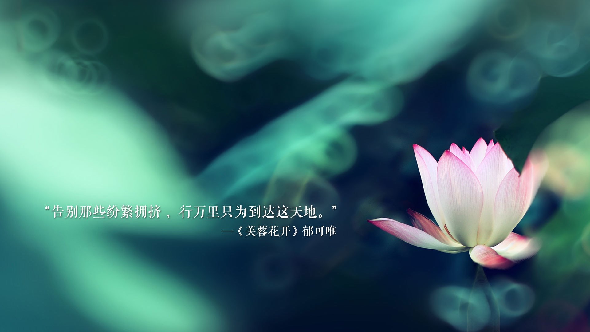 铁骑碾碎新月,捷克用最不捷克的方式,赢下了一场最捷克的胜利